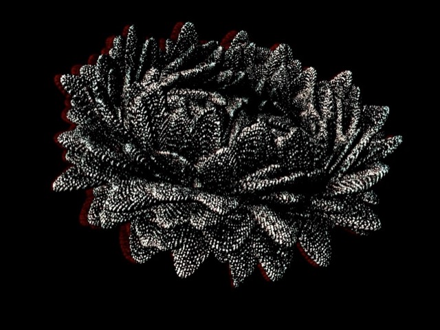Mars Flowers website by Kitoki