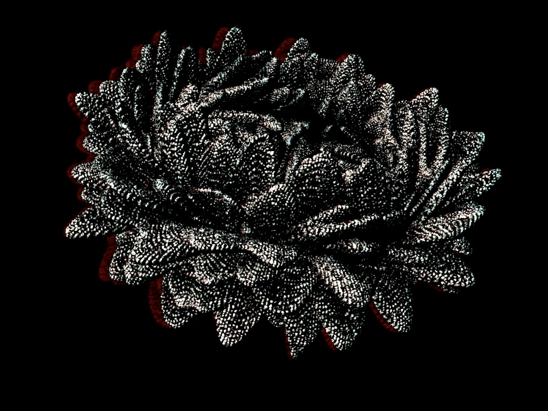 Mars Flowers — NFT collection website by Kitoki